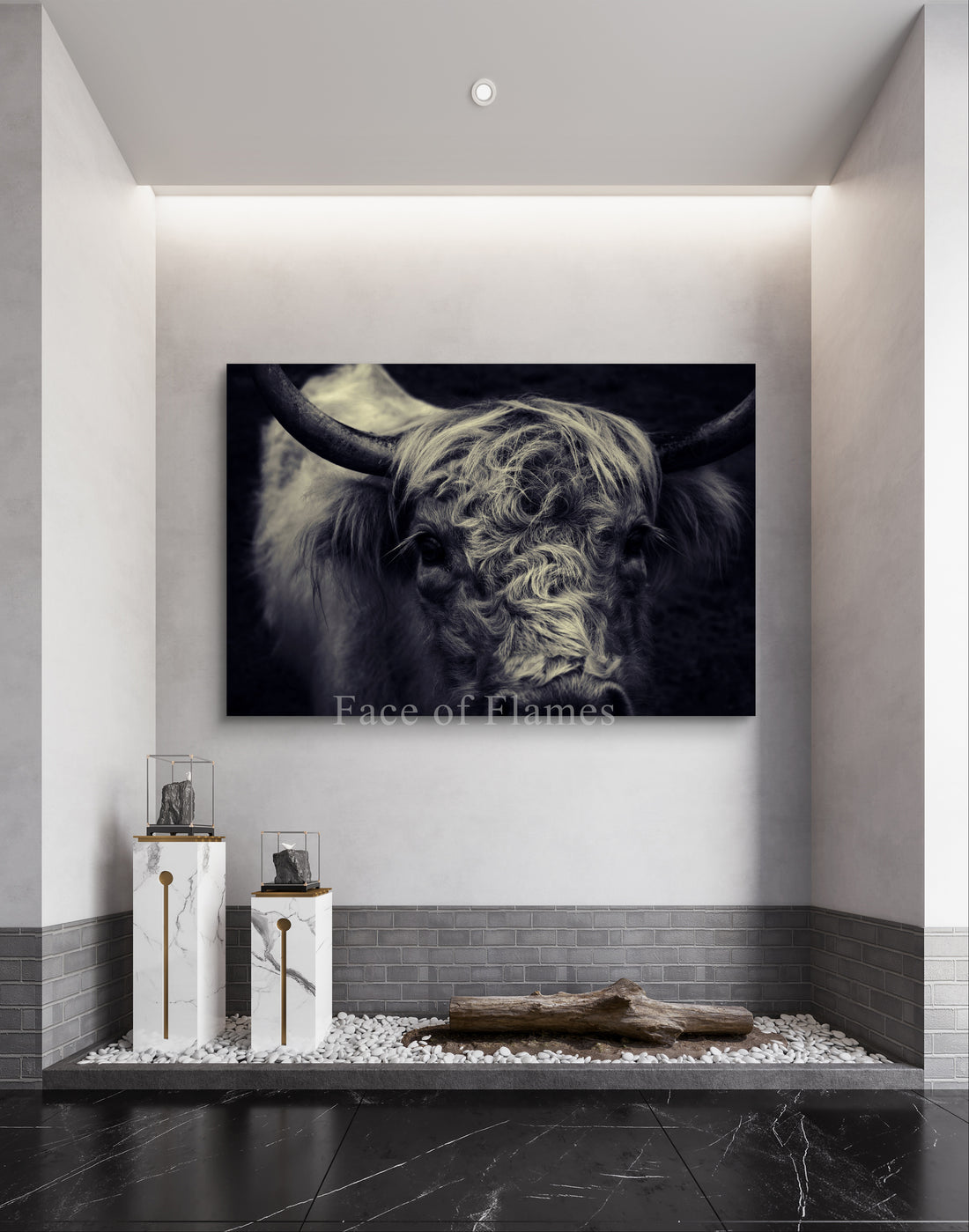 Majestic Highland Bull in Monochrome