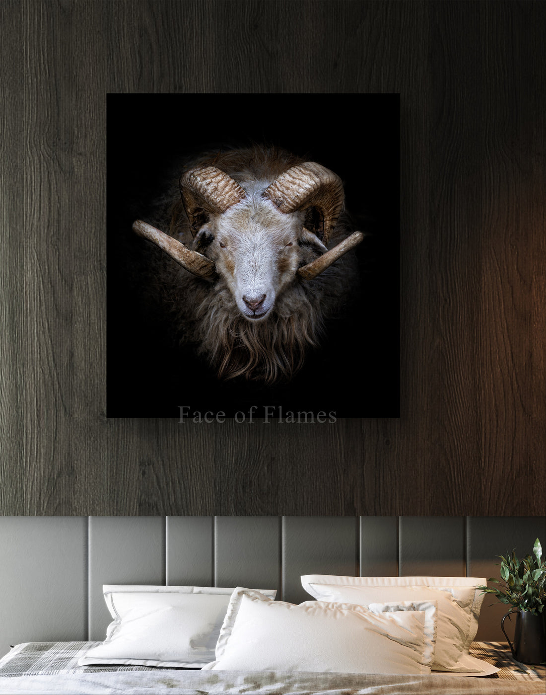 Majestic Darkness: A Portrait of a Ram