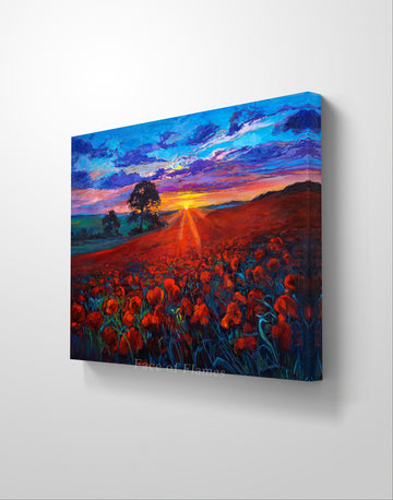 Sunset Splendor Over Poppy Fields